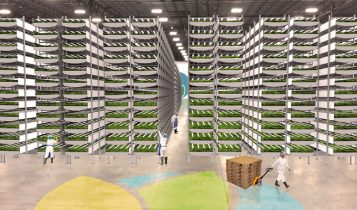 agricultura vertical