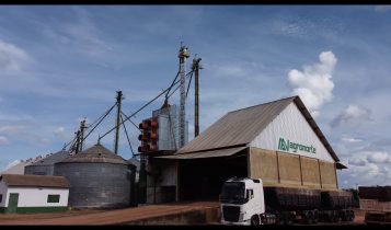 Agronorte planeja investimentos em armazém de grãos e fábrica de rações no Tocantins