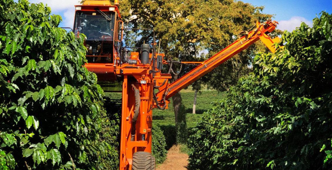 Café produzido pela São Mateus Agropecuária, fazenda do Grupo BMG