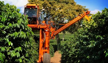Café produzido pela São Mateus Agropecuária, fazenda do Grupo BMG