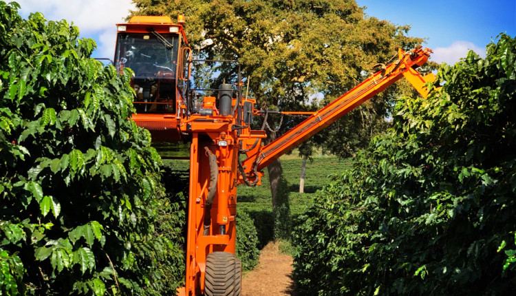 Café produzido pela São Mateus Agropecuária, fazenda do Grupo BMG