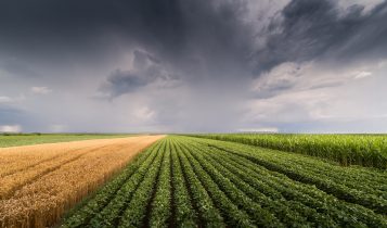 desafios climáticos -Clima tirou bilhões de reais do PIB do RS nos últimos anos, diz líder da Farsul