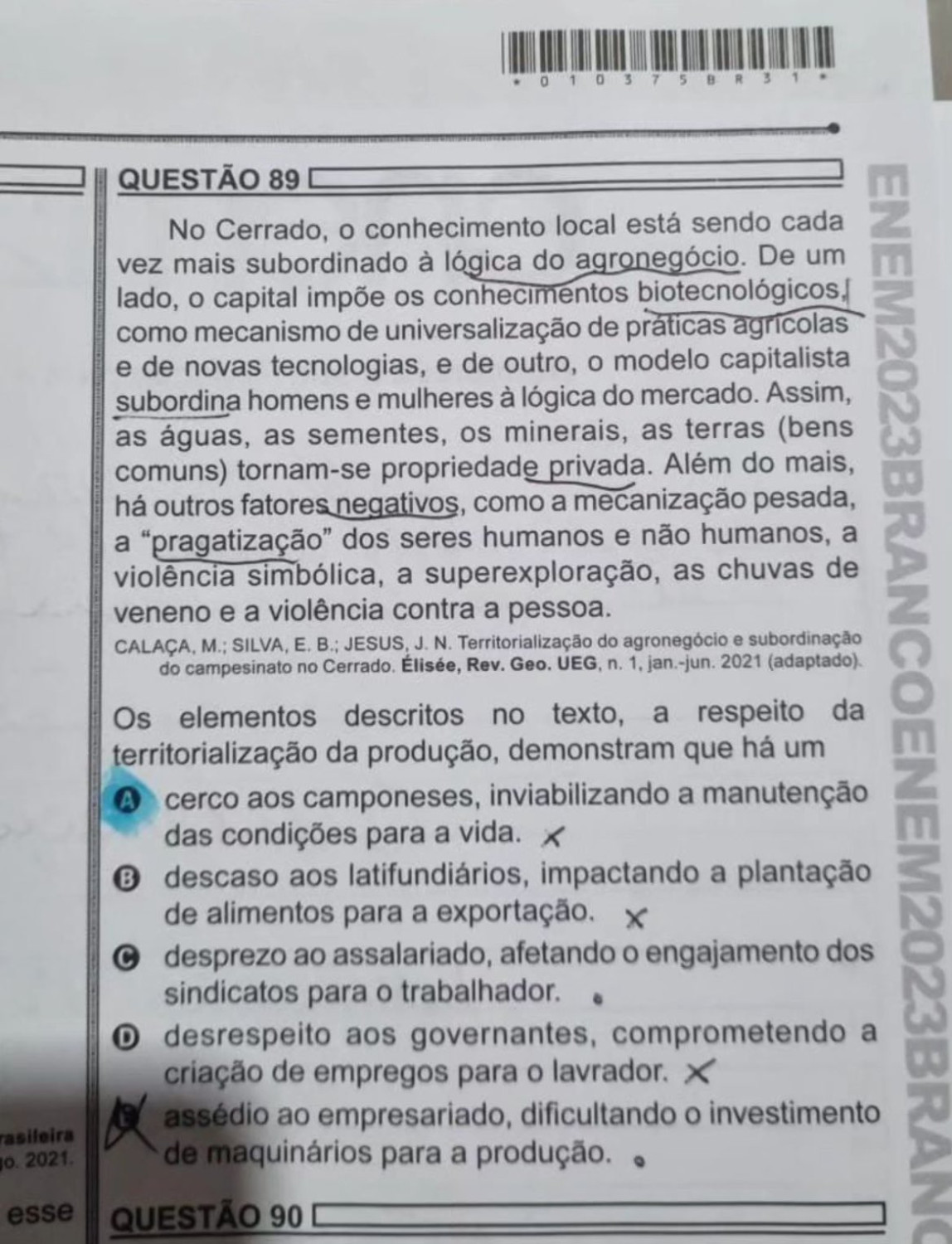 Questão do ENEM / Reprodução