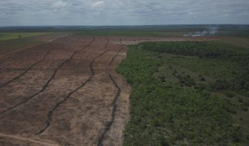Matopiba: Ibama embarga 2,2 mil ha e aplica multa de R$ 10,3 milhões