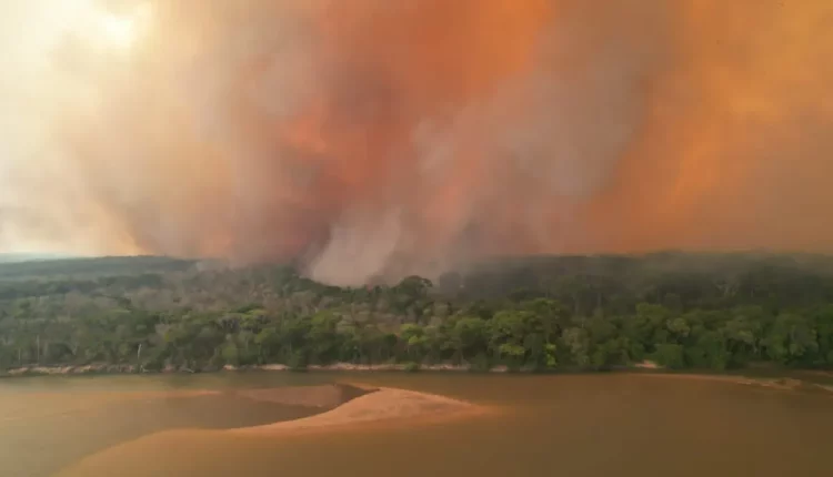 Incêndios atingem a região da Transpantaneira, no Mato Grosso