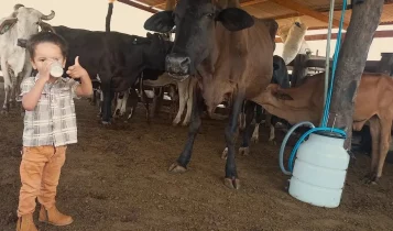 Com suporte técnico, criança intolerante à lactose consome leite de vacas