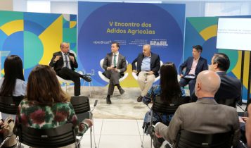 Adidos vão apresentar ao mundo programa brasileiro de recuperação de pastagens