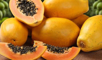 Espírito Santo é o maior produtor e exportador de mamão do Brasil