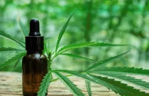 cannabis-medicinal-