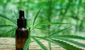 cannabis-medicinal-