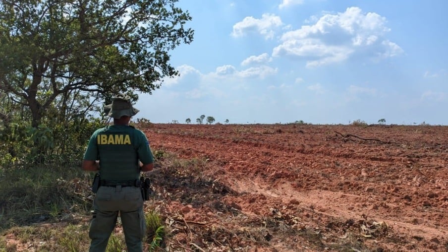 ibama aplica multas no matopiba por desmatamento