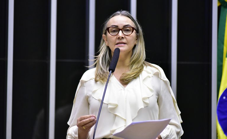 Daniela Reinehr é a autora do projeto


