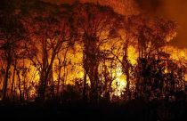 Governo federal declara emergência por risco de incêndios em áreas do Brasil em 2025