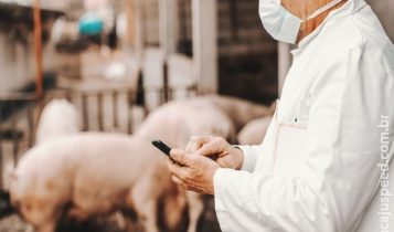 Mapa publica edital para a contratação temporária de profissionais na área de sanidade e defesa agropecuária