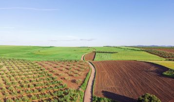Produtos falsificados -desapropriação de terras produtivas
