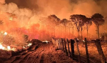 incêndio no pantanal