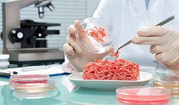 Consumidores desconfiam da segurança da carne cultivada em células, mostra nova pesquisa