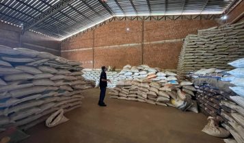 Mais de 350 toneladas de sementes irregulares são apreendidas
