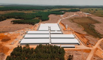 Gigante inaugura granja de R$ 40 milhões de modelo internacional