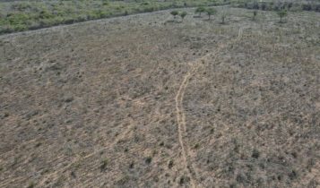 Ibama embarga quase 2 mil hectares e aplica R$ 1 milhão em multas