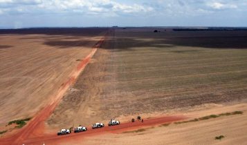 Operação do Ibama multa em R$ 19,8 milhões produtores no Matopiba