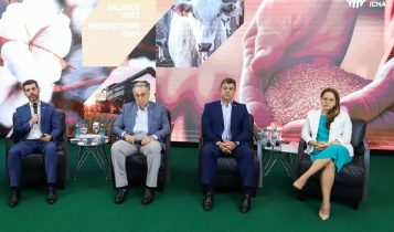 Análise foi apresentada em coletiva de imprensa realizada na quarta (6)