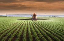 Resiliência às mudanças climáticas deve guiar investimentos na agricultura, avalia coalizão de ONGs e empresas do agro
