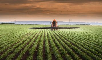 Resiliência às mudanças climáticas deve guiar investimentos na agricultura, avalia coalizão de ONGs e empresas do agro