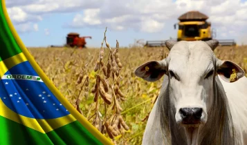 pib agro