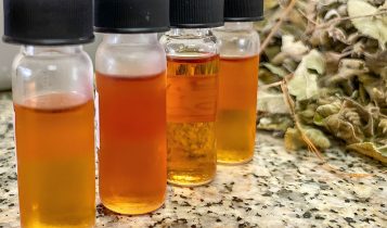 Óleo essencial é capaz de controlar fungos e bactérias em culturas agrícolas