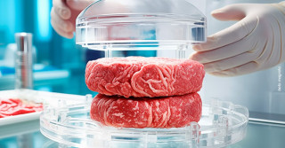 carne cultivada em laboratório