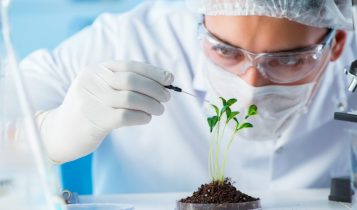 patógenos em plantas