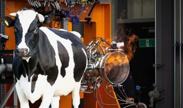 Japão desenvolve combustível para foguetes feito de esterco de vaca