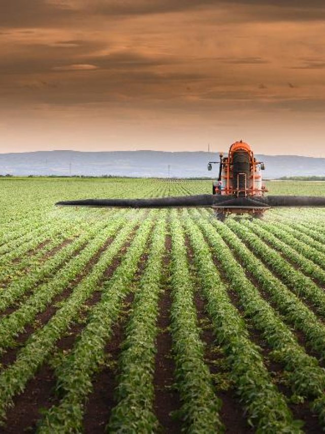 Conheça os 5 maiores agricultores do agro brasileiro