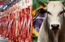 Agro: exportações brasileiras para os Estados Unidos registram queda de 31,3%