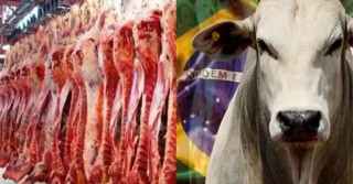 produção de carne Brasil