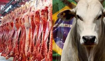 Agro: exportações brasileiras para os Estados Unidos registram queda de 31,3%