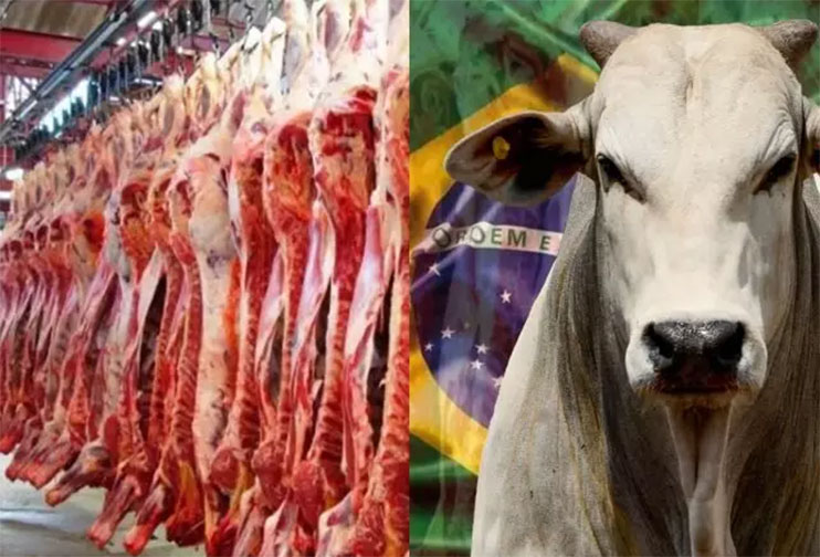 produção de carne Brasil