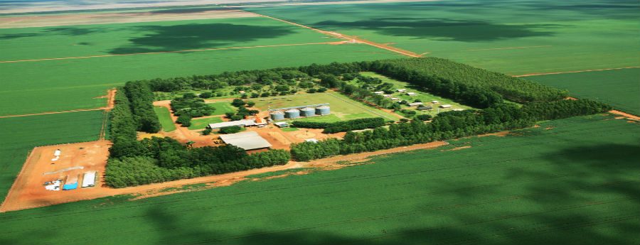 lucros de fazenda