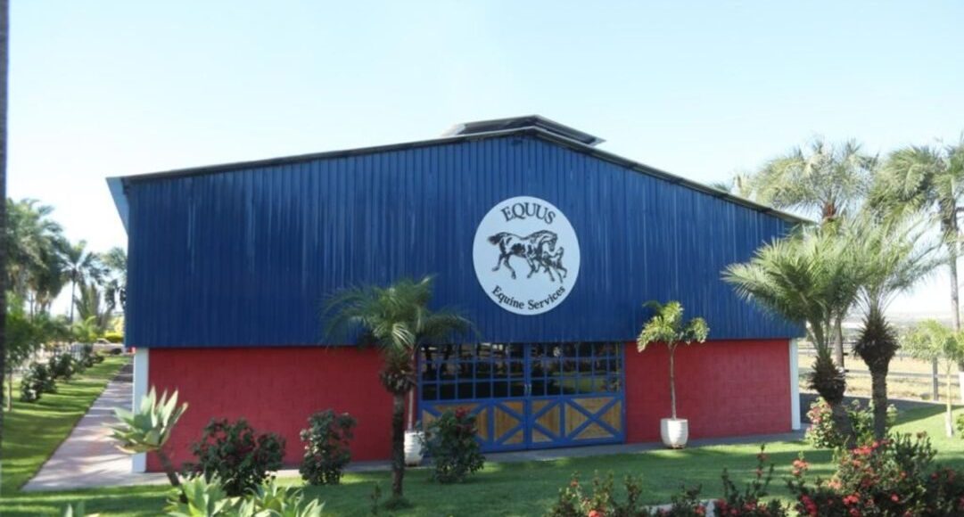 equus stallion station