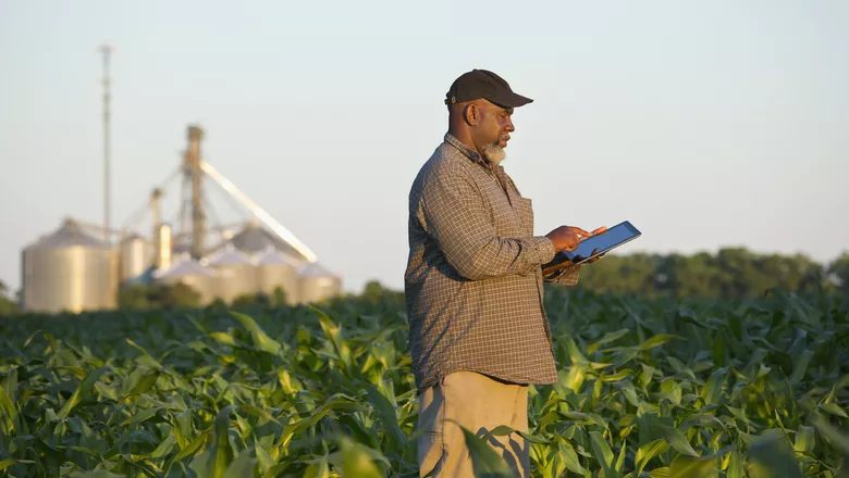 estratégias para produtores