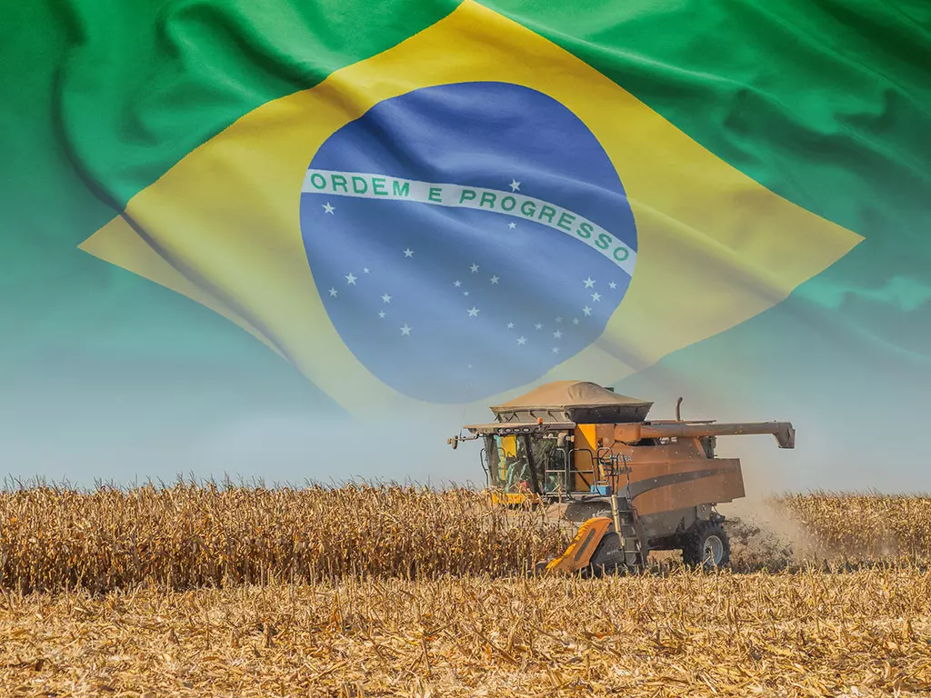 Conheça as 100 maiores empresas do agro brasileiro