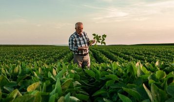 Produção da pequena propriedade rural é penhorável se preservar o devedor, diz STJ