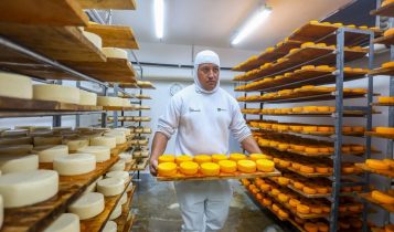 Cooperativa Witmarsum começou a investir em queijos finos há 20 anos.