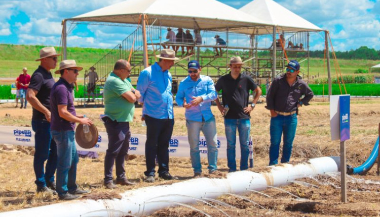 Dia de Campo do Irga para arroz recebe mais de 1,5 mil pessoas