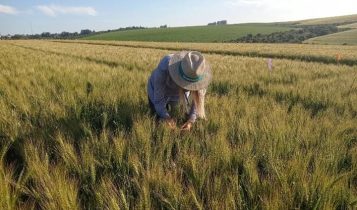 Soluções biológicas são foco da Biotrop na Dinetec 2024, em Canarana (MT)