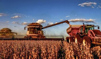 Produtores denunciam esquema para fraudar posse de terras produtivas