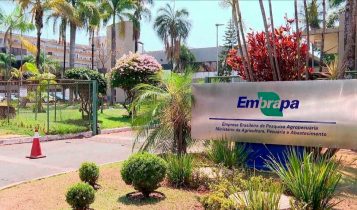 concurso da embrapa