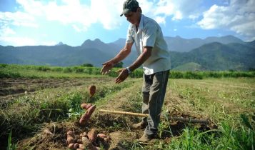 produtores brasileiros na bolívia