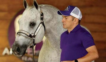 Leilão celebra legado de um dos maiores cavalos Quarto de Milha do Brasil